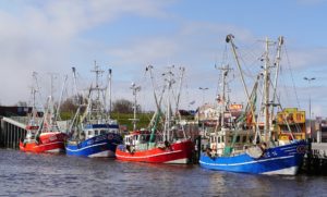 Fischkutter im Hafen an der Elbe