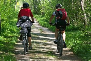 Fahrradtouren durch die Wiesen und das Alte Land bei Stade